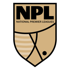 NPL logo in square
